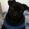 gabycar22