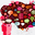 Gail Parminter
