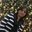 Garima Singh