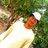Gaurav Gite