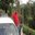 Gayan Matharage