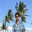 Suresh Kumar