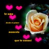 Gisella Borbor Flores