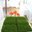 Greta Lawn