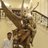 Jaydeep Gurgute
