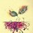 Hadeel Al-failat