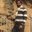 Harpreet Singh