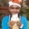 Harshad Bhoir