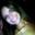 Hellen Cristina Braz