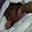Henry Ogbu