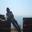 Hitesh Gupta
