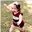 Heather Myers Lytle