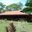 Hotelcantodeballenas Ballenas