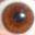 Iris Ponce Leon
