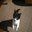 Jose Antonio