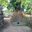 Jayant Barhanpurkar