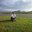Chinthaka Jayasinghe