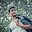 Jerald Viyanee
