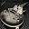 Josue Eduardo Rivero Interian