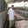 Jhonny Sanchez Quiroz