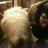 Jinjoo Lee