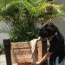 Jonathan Gerena M