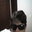 Jose Henrique Adriano