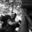 Josse Peremans