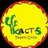 Kactus Teatro Circo