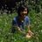 Thanh Truc Le