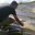 Kashyap Gohel