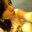 Katty Lopez Chirinos