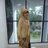 Lailatul Husna Lubis