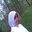 Lee Edta