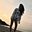 Leidy Cerin