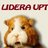 Lidera Faing