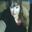 Ligia Bello