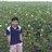 Lim HuatPoo