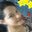 Lissette Leon Alvarado