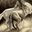 Luis Carvajal