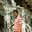 Manoj Mc