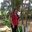 Marce Martinez Turriago