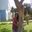 Antonia Rivas Antay