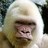 Simao Marinho