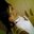 Mary Guillen