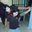 Maryorie Lizbeth Valcarcel Huanca