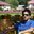 Shaieq Shah