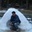 Mayank Kumar