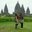 Mevi Yanti