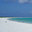 Mike Ronson